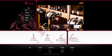 网站设计 从单一网页到整体生态的艺术与科学