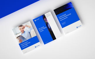 科技信息公司的VI与网页设计 塑造数字化品牌形象的双重引擎